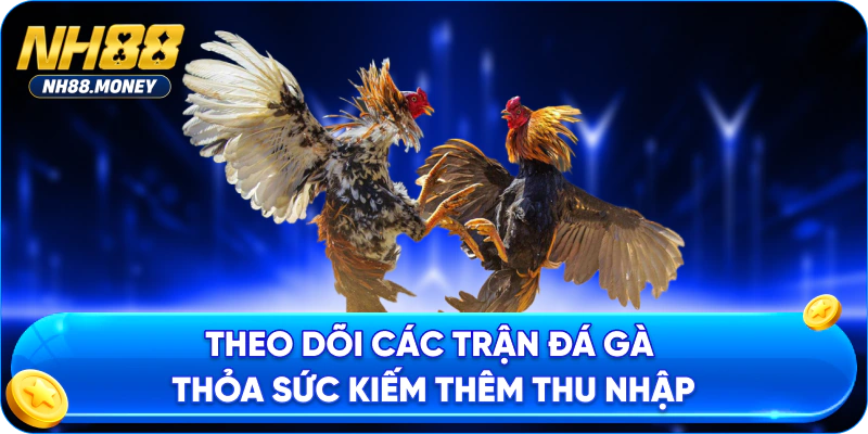 Theo dõi các trận đá gà thỏa sức kiếm thêm thu nhập