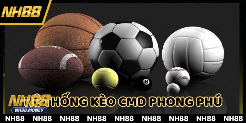 CMD Thể Thao - Sự kết hợp giữa công nghệ và trải nghiệm người dùng